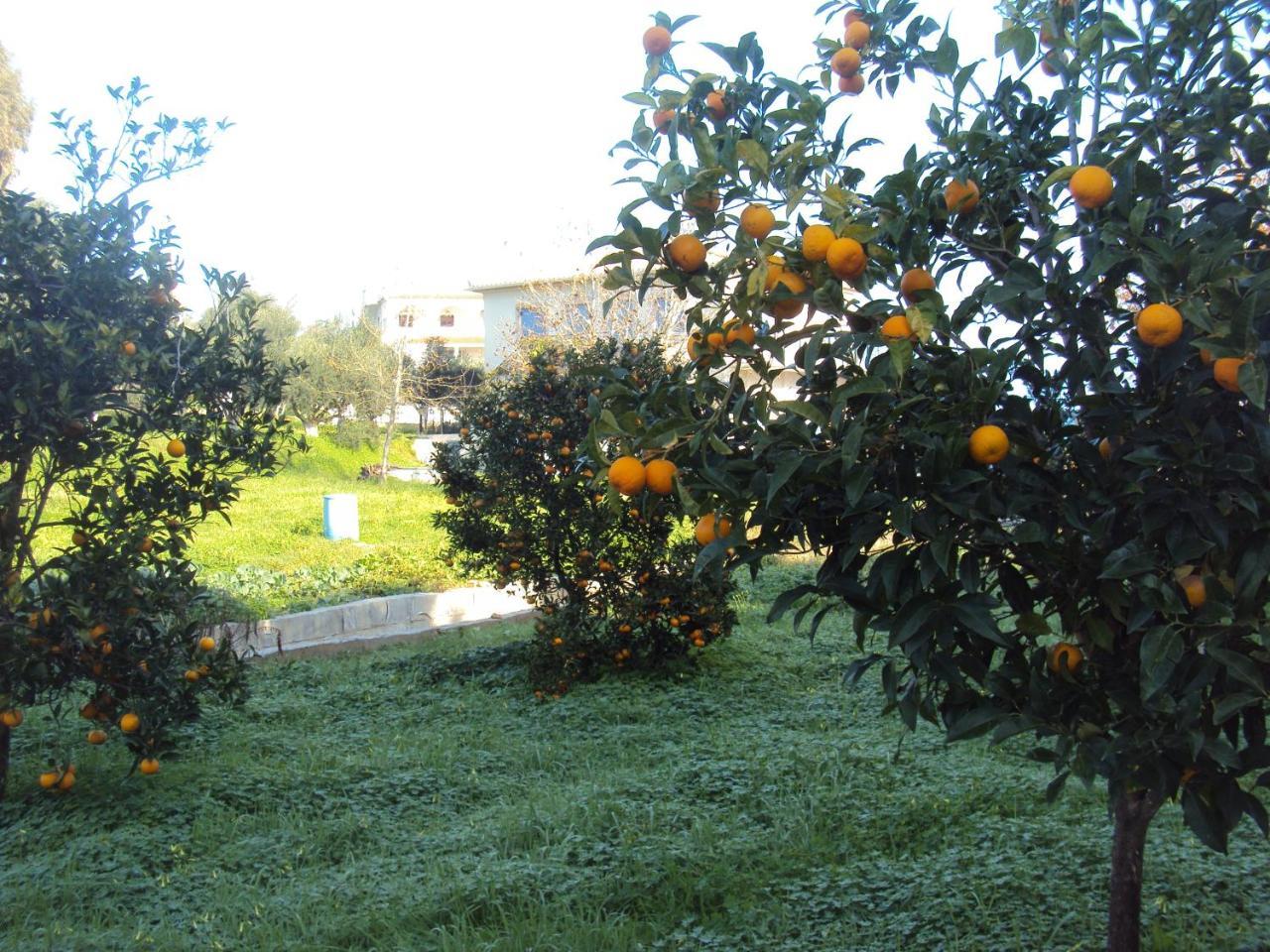 Villa Nostos Корони Экстерьер фото